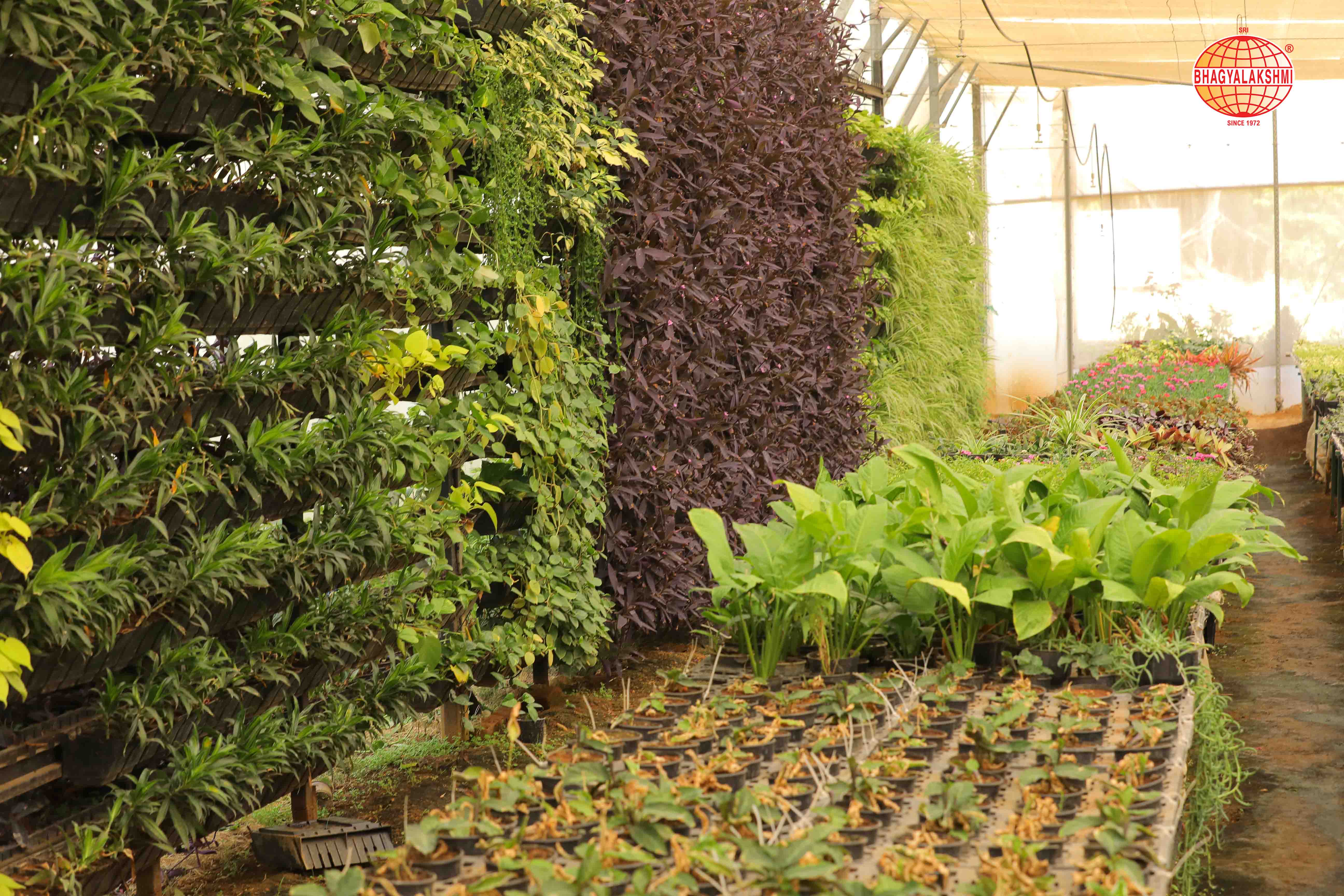 Sbl Farms Green walls and Living walls, Vertical Garden, Bio Curtains